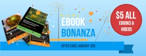 $5 eBook Bonanza